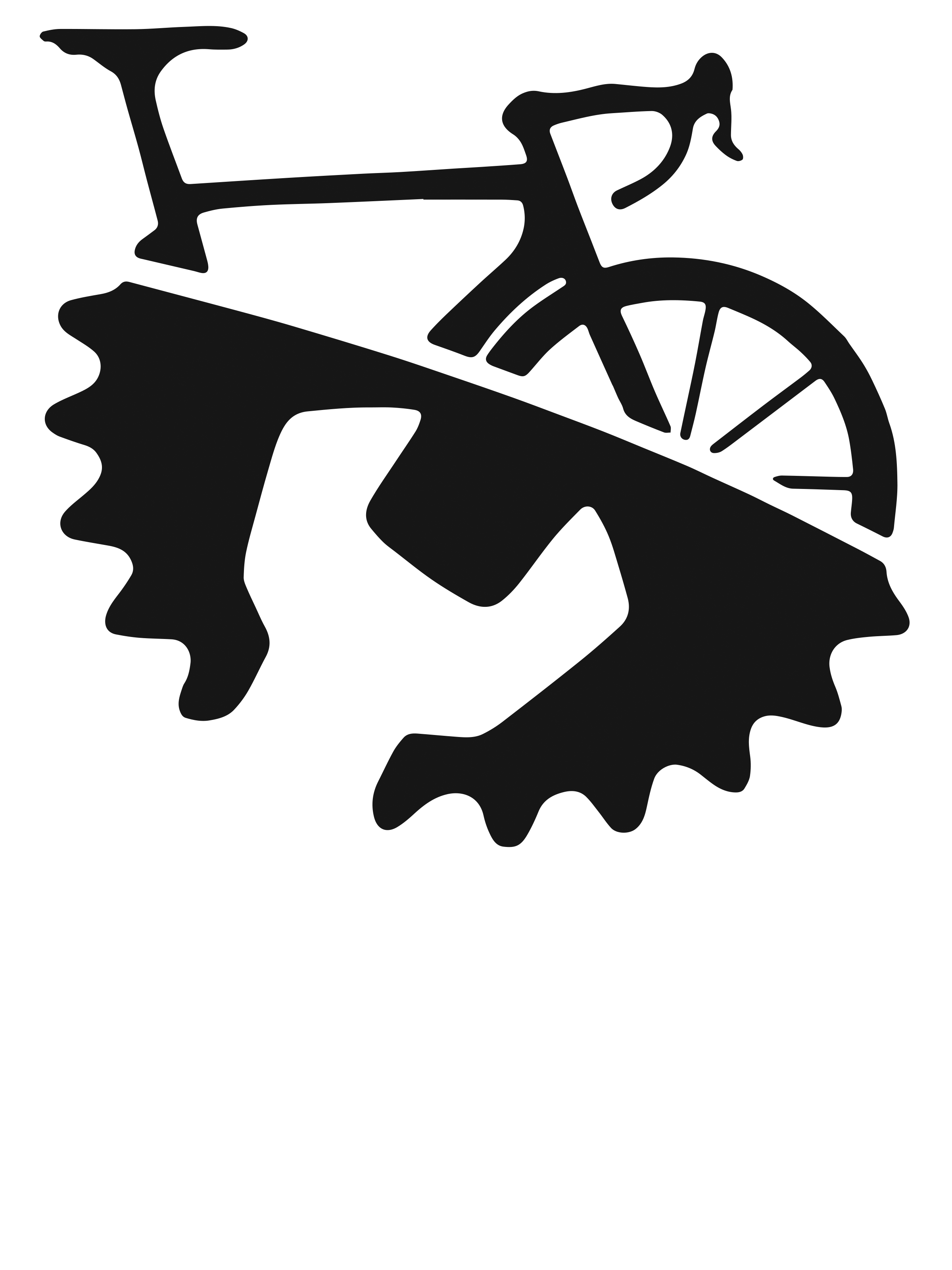 0384 – Bicycle Mechanic